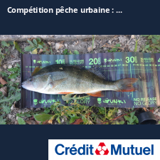 photo prise 25201 par Maxime 