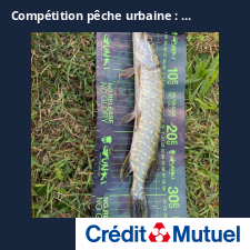photo prise 25236 par Carnaland