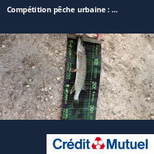photo prise 25240 par benjamin.pipereau