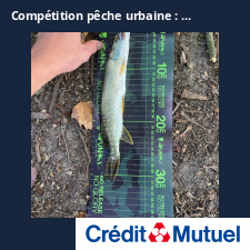 photo prise 25324 par Carnaland