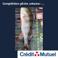 photo prise 25402 par Chriscarnafishing