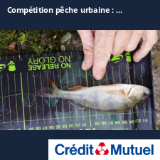 photo prise 25403 par Chriscarnafishing