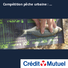 photo prise 25404 par Chriscarnafishing