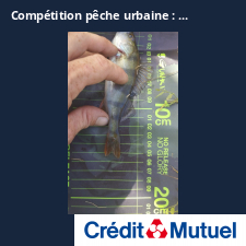 photo prise 25405 par Chriscarnafishing