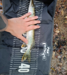 photo prise 26292 par Fishing Aveyron