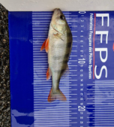 photo prise 26897 par Max2fishes