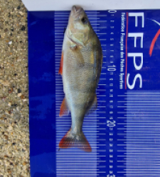 photo prise 26942 par Max2fishes