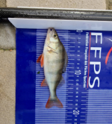 photo prise 27056 par Max2fishes
