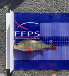photo prise 27066 par Fullfish