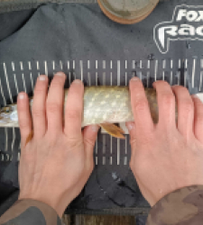 photo prise 27125 par Fishing Aveyron