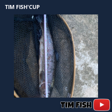 photo prise 27273 par The Fisher man 