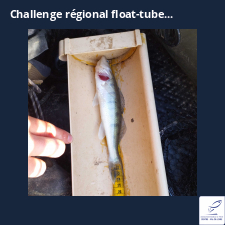 photo prise 27479 par Gaylordfishing