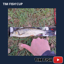 photo prise 27524 par FISH1MAX