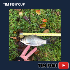 photo prise 27638 par Flo_carpfishing37