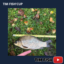 photo prise 27641 par Flo_carpfishing37