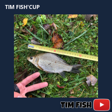 photo prise 27642 par Flo_carpfishing37