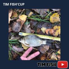 photo prise 27643 par Flo_carpfishing37