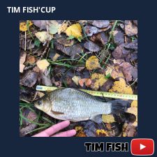 photo prise 27644 par Flo_carpfishing37