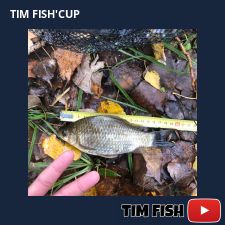 photo prise 27645 par Flo_carpfishing37