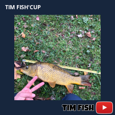 photo prise 27663 par Flo_carpfishing37