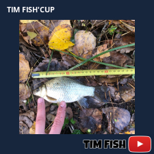 photo prise 27667 par Flo_carpfishing37