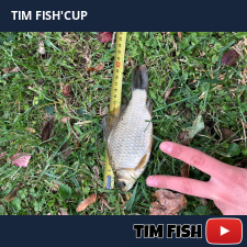 photo prise 27668 par Flo_carpfishing37