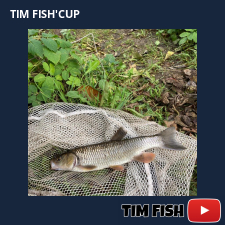 photo prise 27684 par Thetiger fishing 