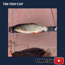 photo prise 27685 par Thetiger fishing 