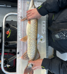 photo prise 27763 par Big fish