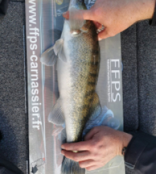 photo prise 27808 par SiriusFishingcool
