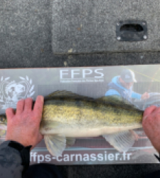 photo prise 27867 par POUTIER Sebastien