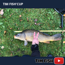 photo prise 27956 par Flo_carpfishing37