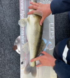 photo prise 27960 par AKIL-fishing
