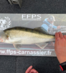 photo prise 27967 par JB Morel