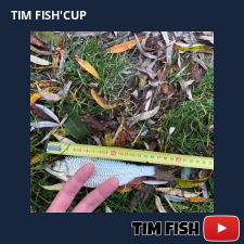 photo prise 28020 par Flo_carpfishing37