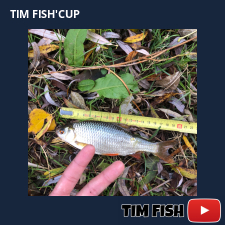 photo prise 28021 par Flo_carpfishing37