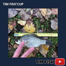photo prise 28031 par Flo_carpfishing37