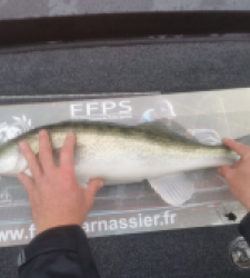 photo prise 28055 par SiriusFishingcool