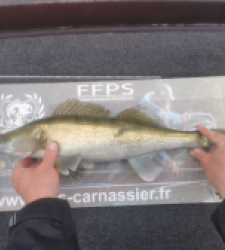 photo prise 28056 par SiriusFishingcool