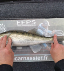 photo prise 28057 par SiriusFishingcool