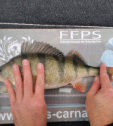 photo prise 28059 par SiriusFishingcool