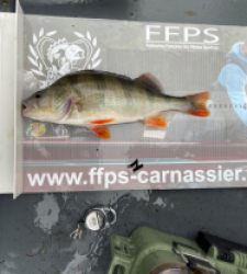photo prise 28072 par tristan_carnasier_fishing