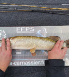 photo prise 28120 par SiriusFishingcool