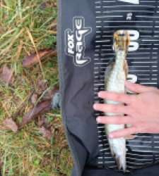 photo prise 28121 par Fishing Aveyron