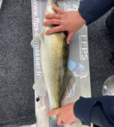 photo prise 28158 par AKIL-fishing