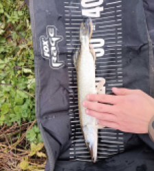 photo prise 28162 par Fishing Aveyron