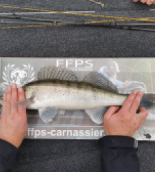 photo prise 28184 par SiriusFishingcool