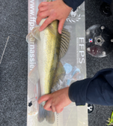 photo prise 28203 par AKIL-fishing