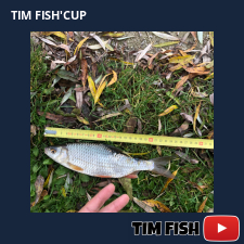 photo prise 28223 par Flo_carpfishing37