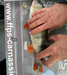 photo prise 28234 par Big fish